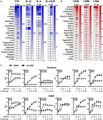 Identification and Characterization of Stimulator of Interferon Genes As a Robust Adjuvant Target for Early Life Immunization